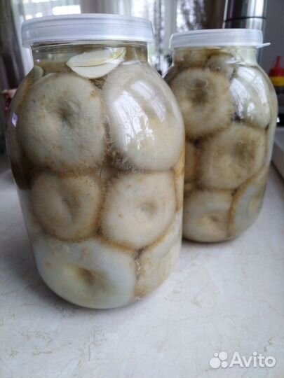 Соленые грузди