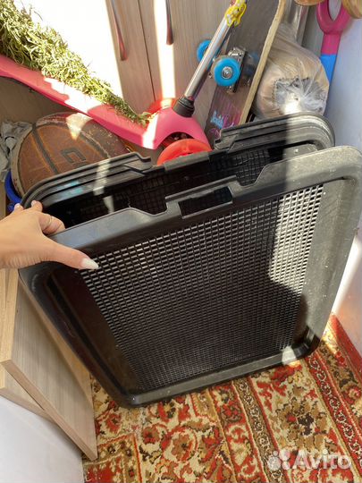 Лоток для собак