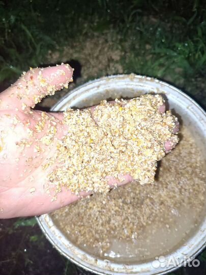 Комбикорм для всех (пшеницы+кукурузы+ячменя+горох)