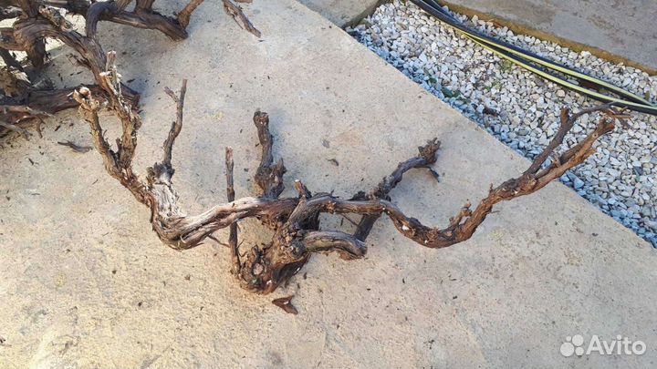 Коряги для аквариумов,террариумов