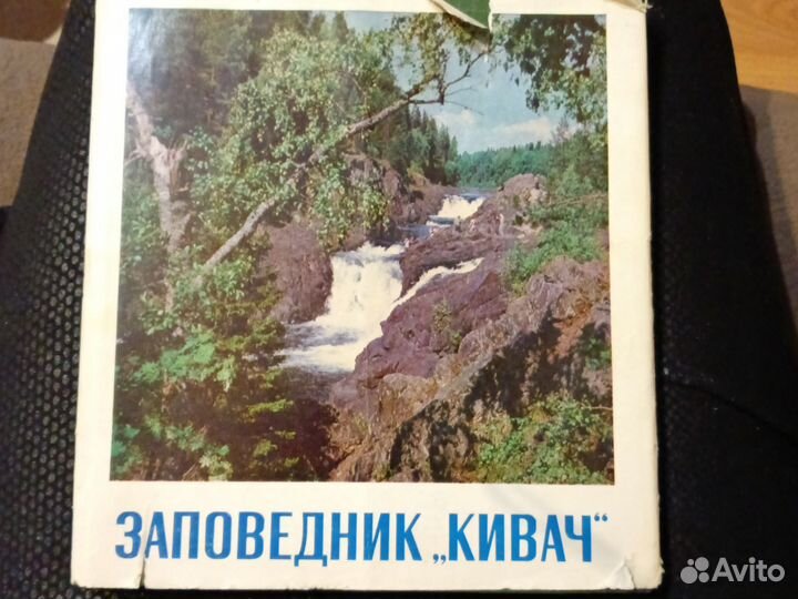 Заповедник 