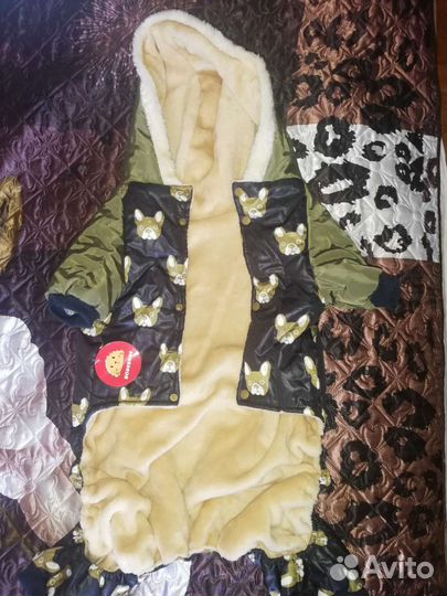 Одежда для маленьких пород собак