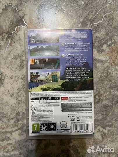 Minecraft Nintendo switch