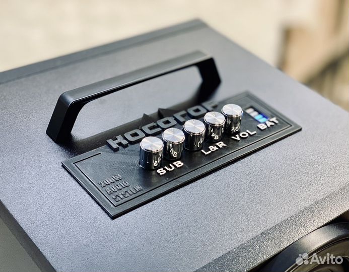 Косогор 2.0 с Караоке - 200W