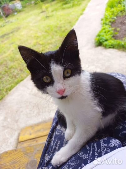 Ты мне нужен,человек