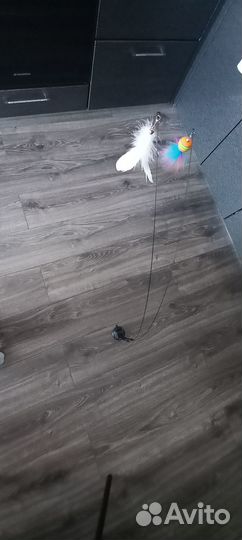 Удочка дразнилка на присоске для кошек