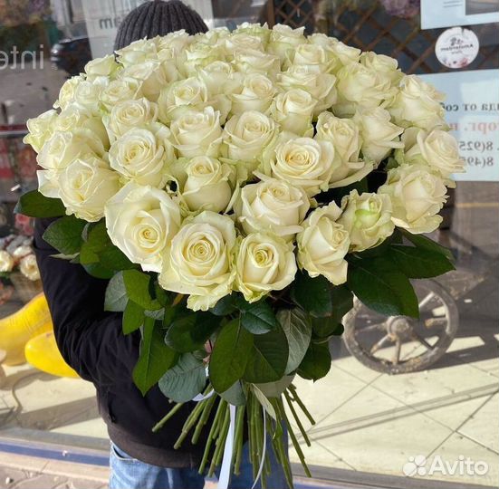 101 роза 51 роза Цветы