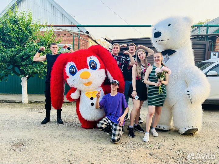 Белый мишка на поздравление