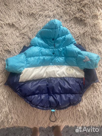 Одежда для собак мелких пород