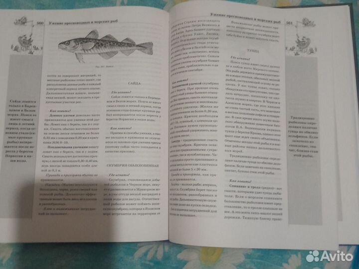 Энциклопедия для юных рыболовов