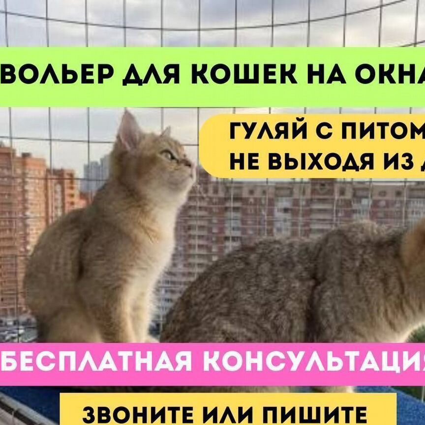 Балкончик для кошек/выгул