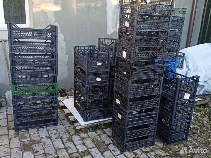 Ящик пластиковый