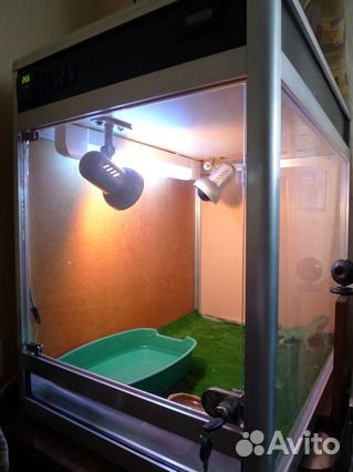 Террариум для игуаны, хамелеона