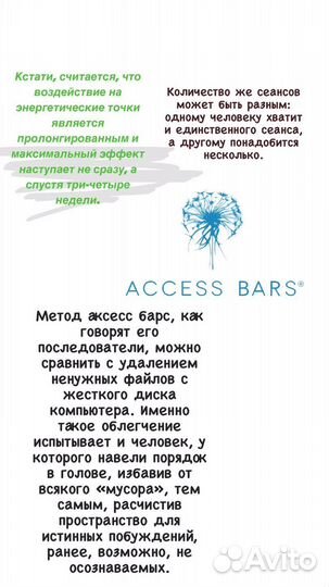 Телесные процессы Аксесс, Аксесс барс