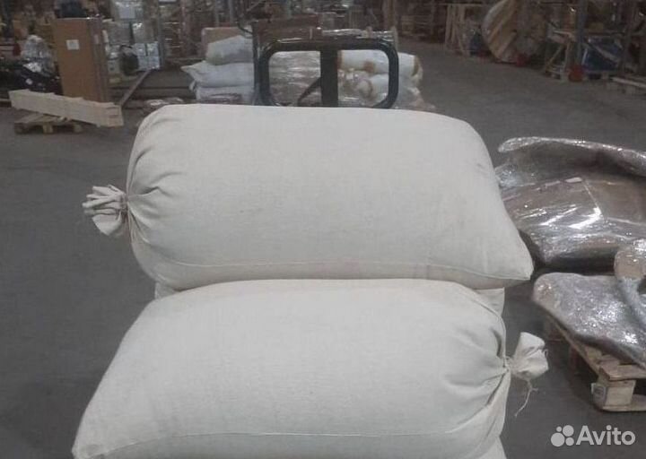 Семена лиственницы от производителя