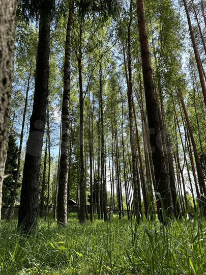 Участок 15 сот. (ИЖС)