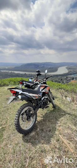 Рейсер пантера 300