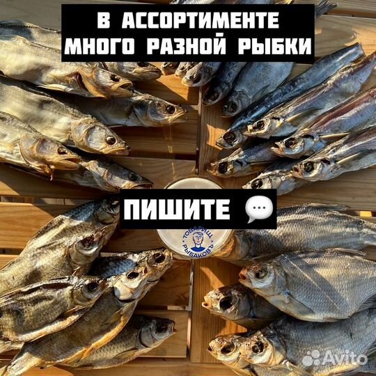 Вяленая вобла из Астрахани