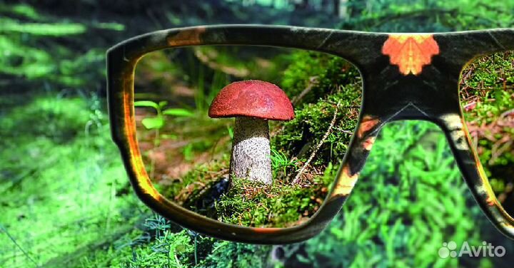 Очки грибника Триколор, SG-002