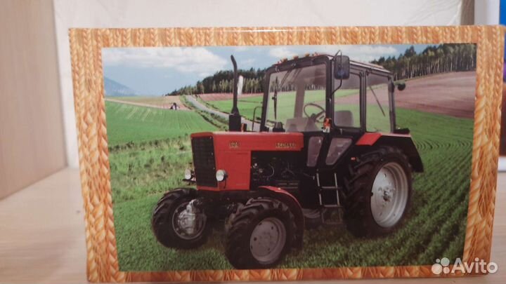 Модель Мтз 82