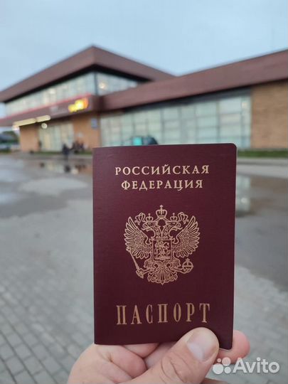 Получение квоты, РВП, ВНЖ, статуса нря