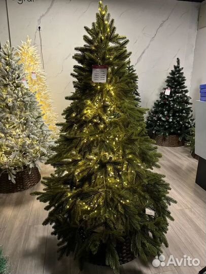 Ель Каролина + LED 210 см