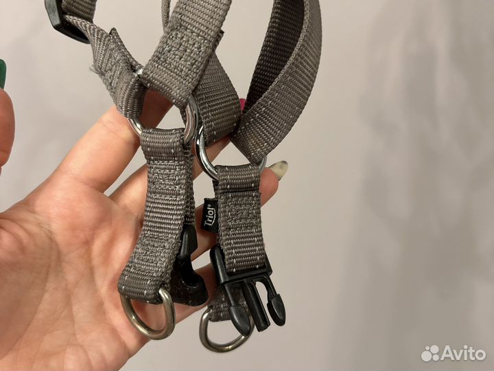 Шлейка для собаки