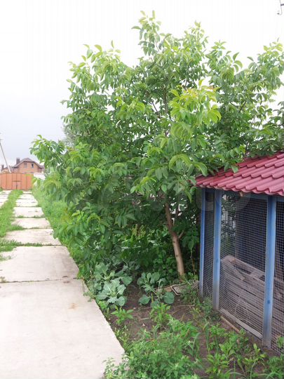 Участок 20 сот. (ИЖС)