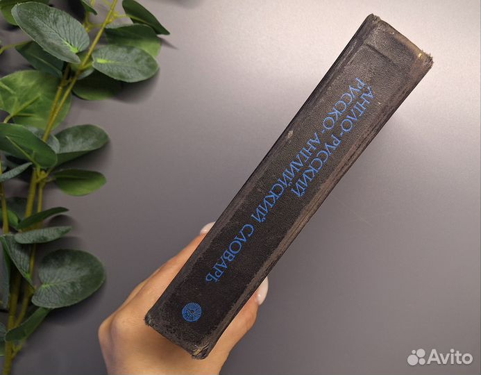 Англо-русский и русско-английский словарь