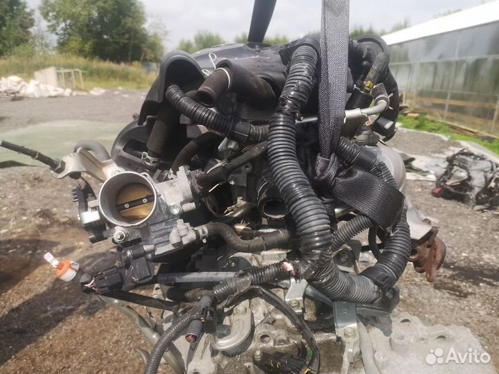 Двигатель Toyota Allion NZT240 1NZ-FE