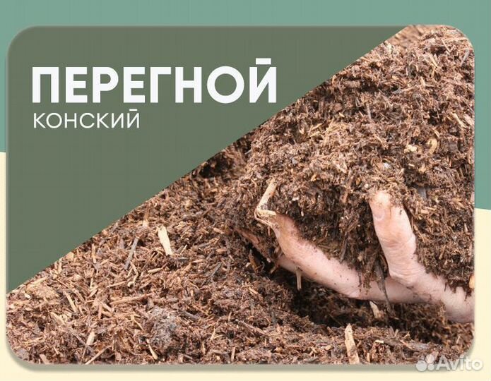 Конский перегной