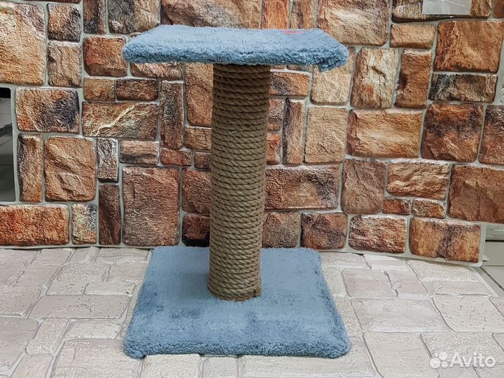 Когтеточка