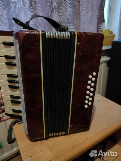 Аккордеон Малыш. Рабочий