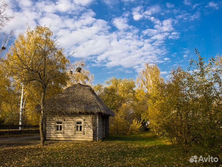 Рязань Топ-Экскурсия «Гой ты, Русь моя родная.»— п