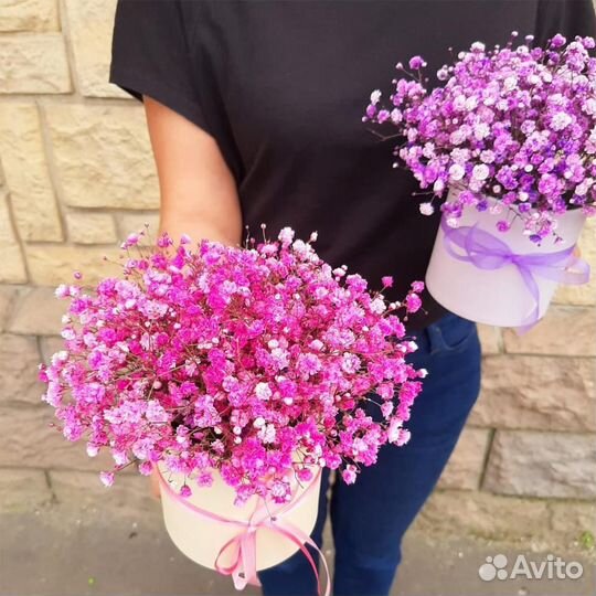 Букет из гипсофилы в коробке