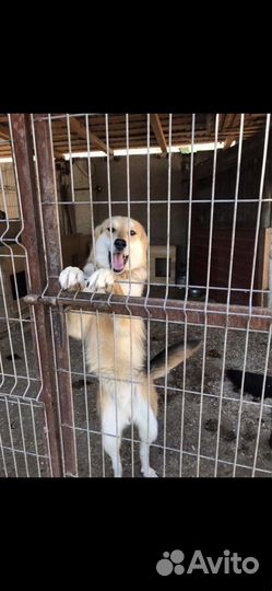 Подарите ему дом