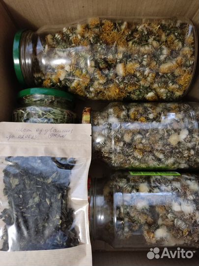 Душица, зверобой и др.сушеные травы