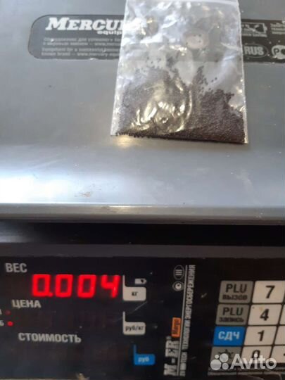 Семена Амарант чайный- Валентина