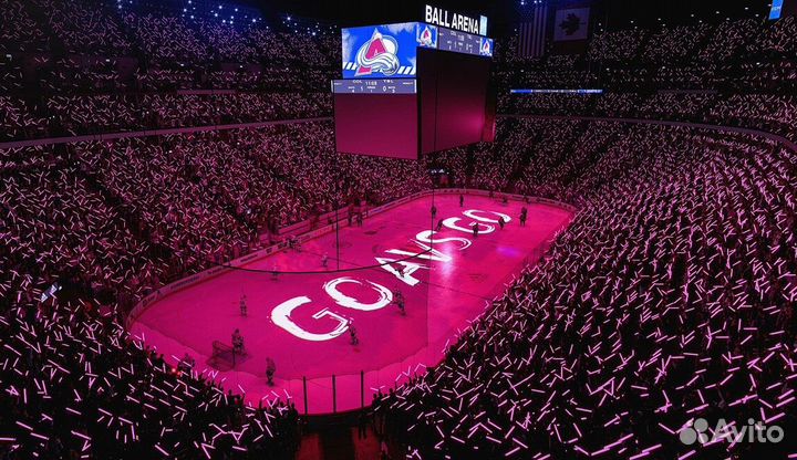 NHL 24 для Вашей PS4/5 Благовещенск