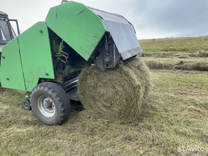 Продам сено в рулонах