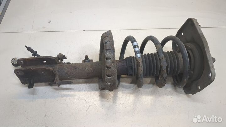 Амортизатор подвески Peugeot Expert, 2009