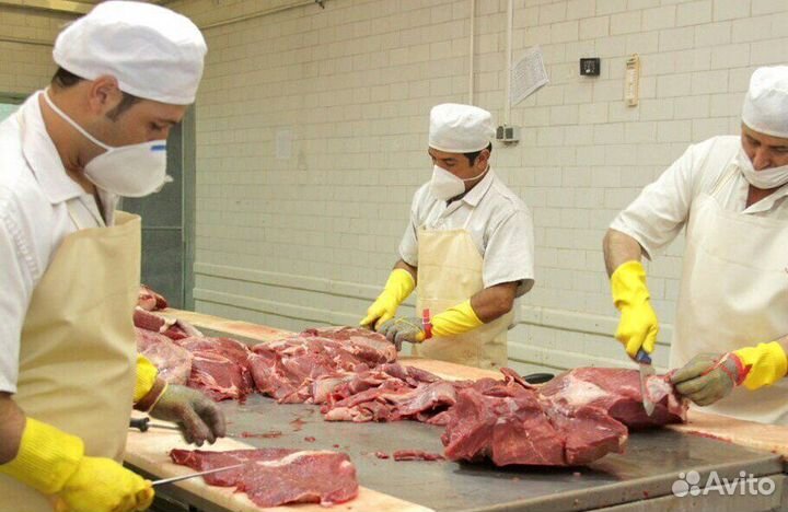 Подсобный рабочий Вахта(г.Владимир)