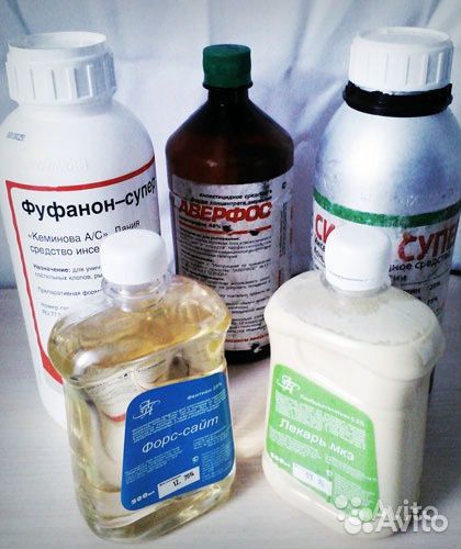 Средства препараты химия от клопов блох тараканов