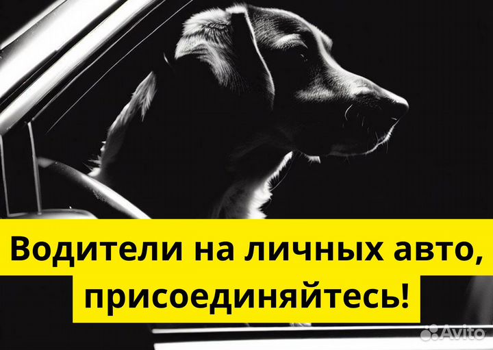 Ищем водителей Яндекс.Go на своем т/с
