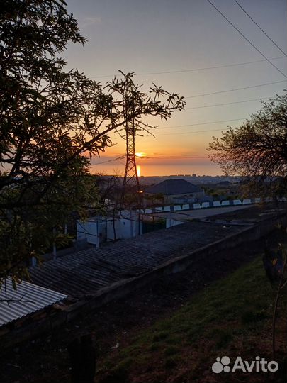 Домашний яйца