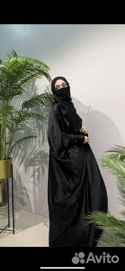 Абая блестящая