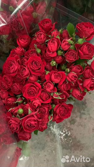 Кустовые, пионовидные розы опт прямая поставка