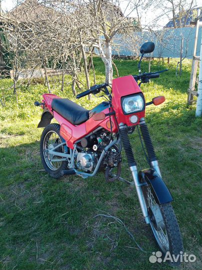 Зид пилот 50