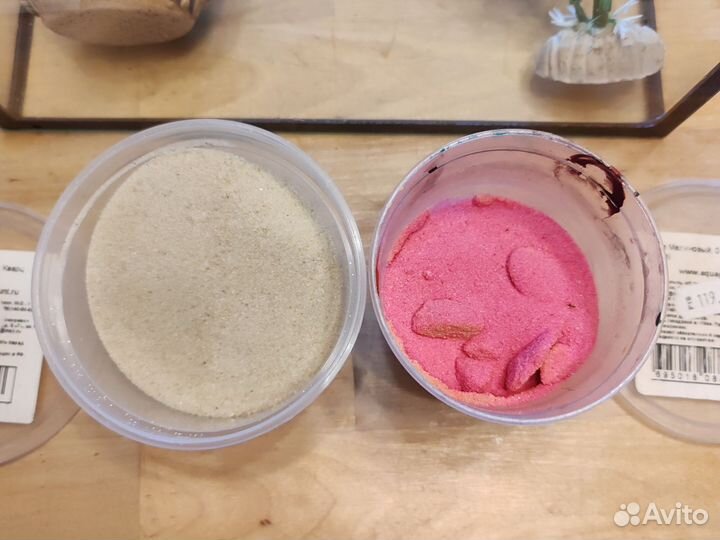 Открытый аквариум на 3.5 литра с наполнением