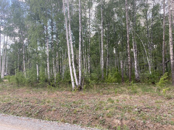 Участок 13,5 сот. (ИЖС)